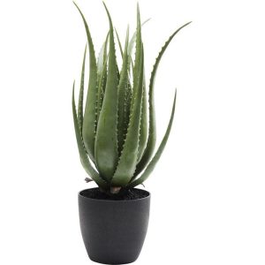 Kunstplante Aloe 69cm