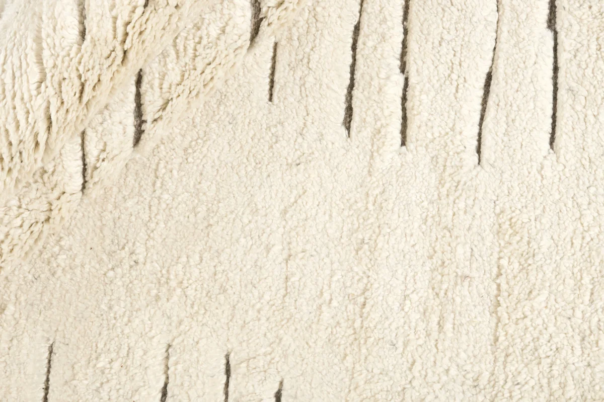 Landscape Bark Nature - Image 7