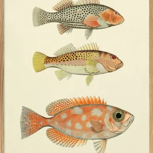 Fishes